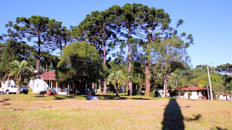 Concessão da Floresta Nacional de Três Barras deve incrementar economia local
