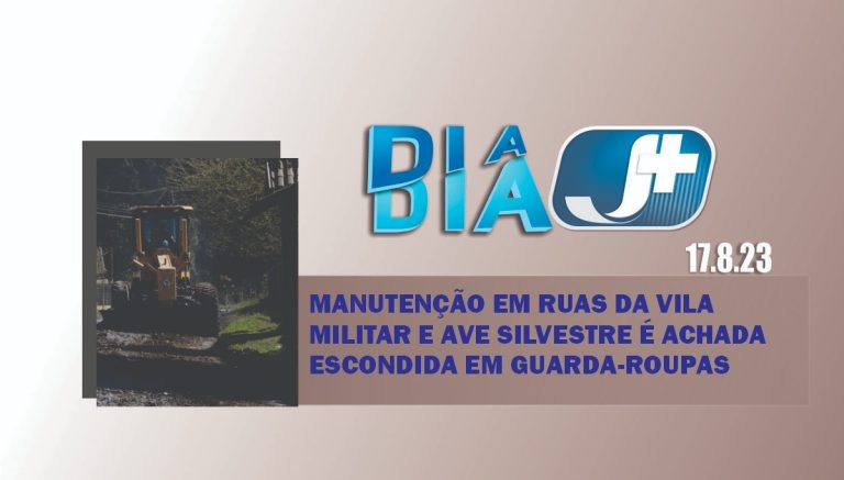 Manutenção em ruas da Vila Militar e ave silvestre é achada escondida em guarda-roupas