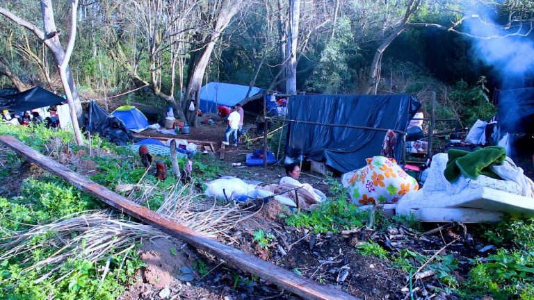 Indígenas acampados em Mafra planejam voltar a ocupar fazenda no limite com Três Barras