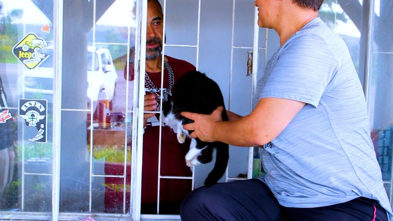 Casal desalojado por enchente mantém mais de 60 animais resgatados em abrigo de Três Barras