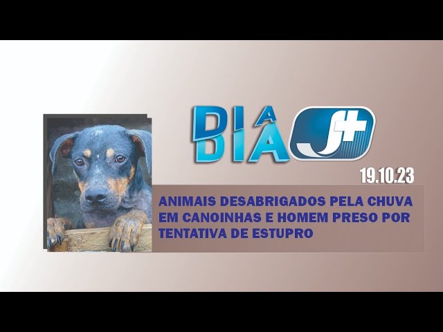 Animais desabrigados pela chuva em Canoinhas e homem preso por tentativa de estupro