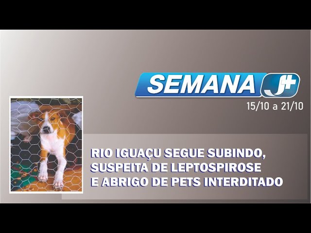 Rio Iguaçu segue subindo, suspeita de leptospirose e abrigo de pets interditado marcam a semana