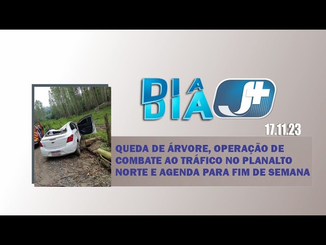 Queda de árvore, operação de combate ao tráfico no Planalto Norte e agenda para fim de semana
