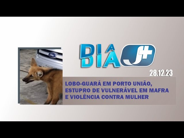 Lobo-guará em Porto União, estupro de vulnerável em Mafra e violência contra mulher