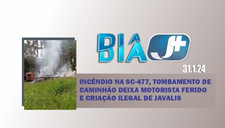 Incêndio na SC-477, tombamento de caminhão deixa motorista ferido e criação ilegal de javalis