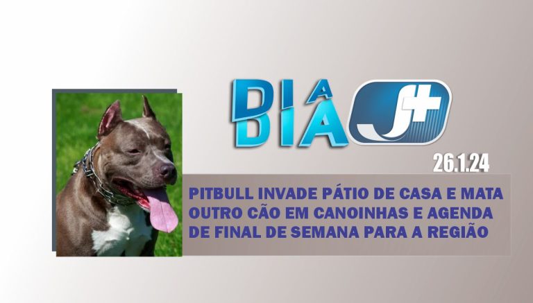 Pitbull invade pátio de casa e mata outro cão em Canoinhas e agenda de final de semana para a região