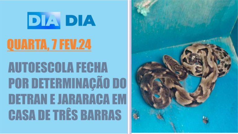 Autoescola fecha por determinação do Detran e jararaca em casa de Três Barras