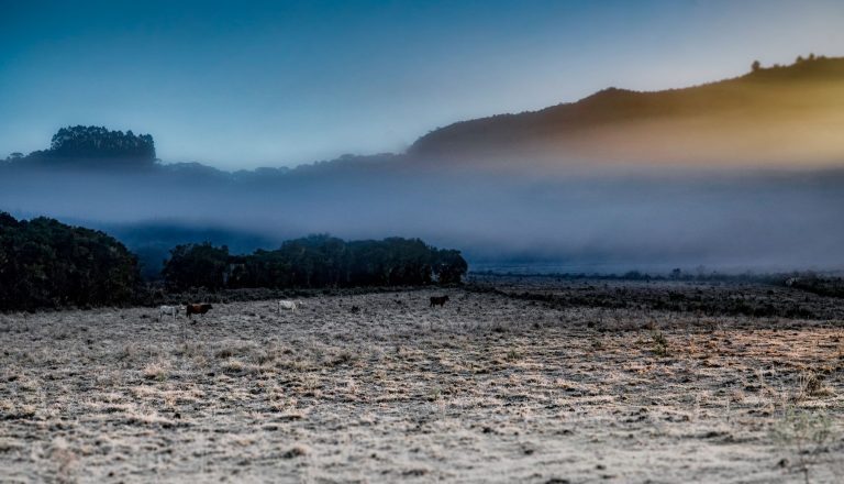 Serra Catarinense pode ter neve e chuva congelante entre a noite desta terça e madrugada de quarta