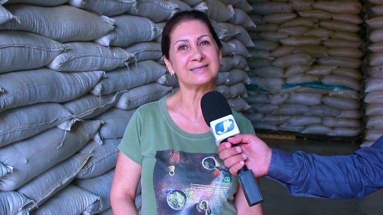 Erva-mate entra para a cesta básica; entenda o impacto em Canoinhas e região