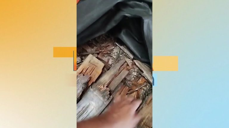 Vídeo mostra situação precária do prédio da Fundação Cultural de Canoinhas