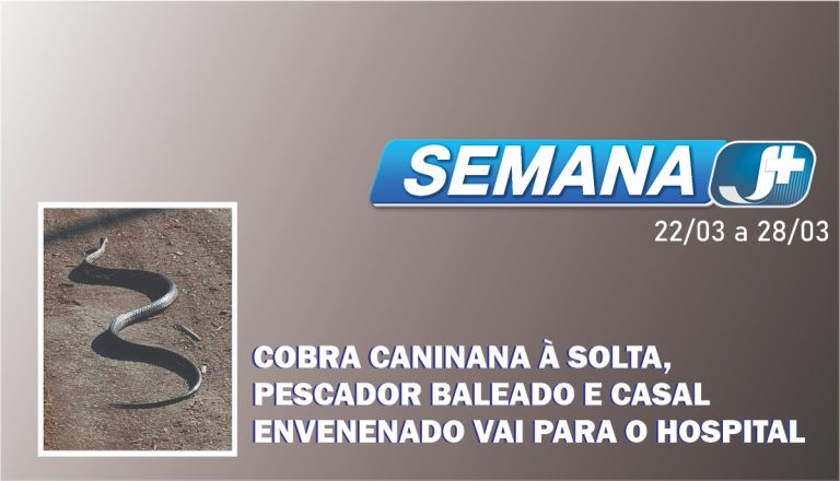 Cobra Caninana à solta, pescador aleado e casal evenenado vai para o hospital