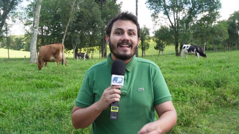 Projeto da Epagri proporciona aumento da produção de carne e leite na região de Canoinhas
