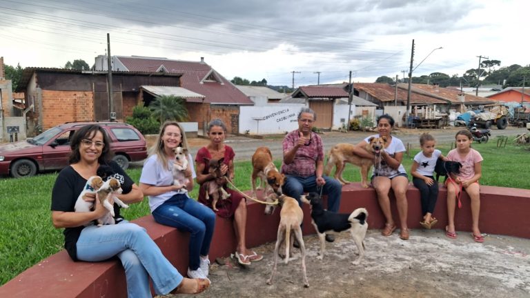 Voluntários de Canoinhas e Três Barras lutam para resgatar e proteger animais de rua